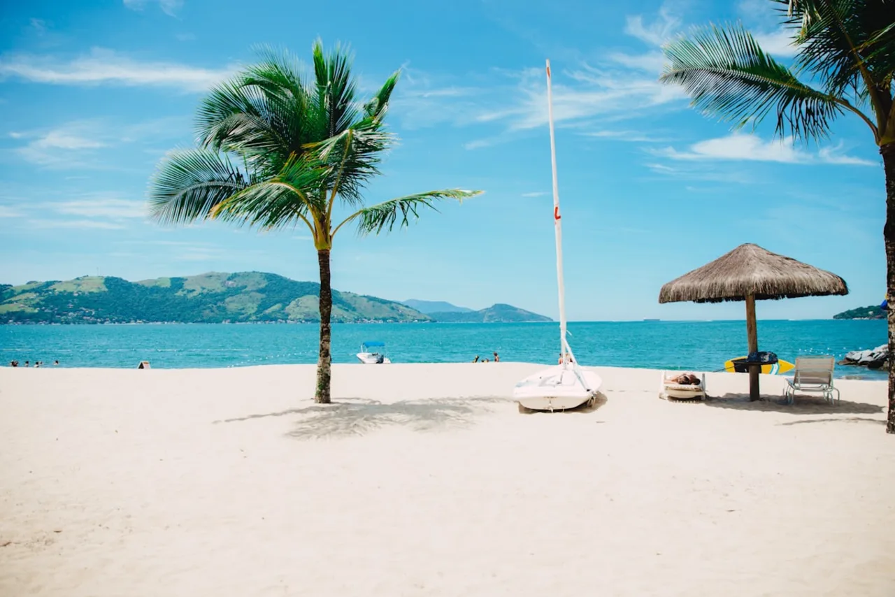 Praia tropical com espreguiçadeiras e palmeira